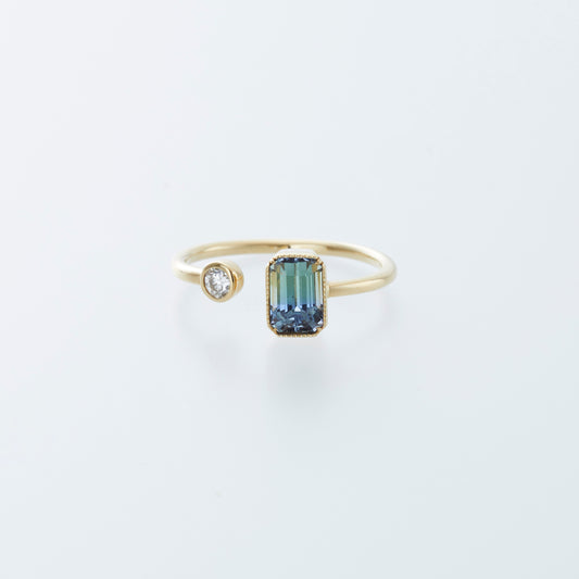 K18 Bicolor Zoisite x Diamond Ring